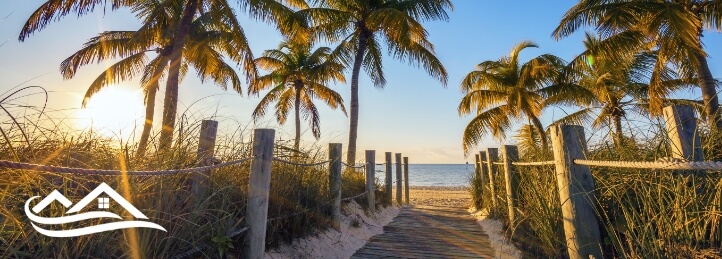 Photo of palm trees in Indian River Shores, FL